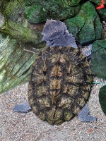 Tropen Aquarium Hagenbeck