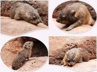 tropen-aquarium-hagenbeck_mfw13__015064coll_