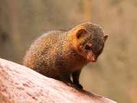 Tropen Aquarium Hagenbeck