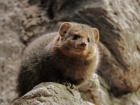 Tropen Aquarium Hagenbeck