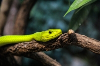 Tropen Aquarium Hagenbeck