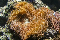 Tropen Aquarium Hagenbeck