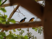 Tierpark Hagenbeck