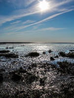 Nordsee - Watt bei Spieka Neufeld