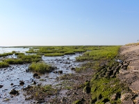 Nordsee Main