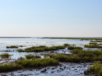 Nordsee Main