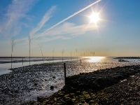 Nordsee - Watt bei Spieka Neufeld