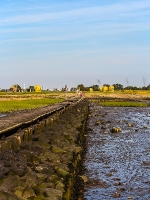 Nordsee - Watt bei Spieka Neufeld