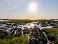 Nordsee - Watt bei Spieka Neufeld