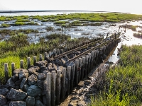 Nordsee - Watt bei Spieka Neufeld