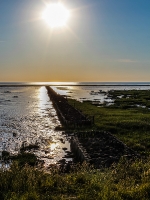 Nordsee - Watt bei Spieka Neufeld