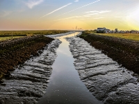 Nordsee - Watt bei Spieka Neufeld