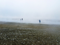 morgennebel_5028250