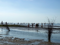 Nordsee Impressionen