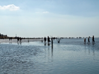 Nordsee Impressionen