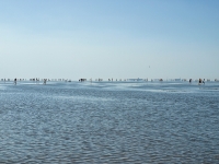 Nordsee Main