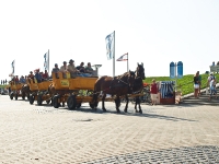 Nordsee Impressionen