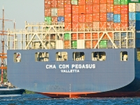 CMA CGM Pegasus