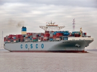 COSCO Development