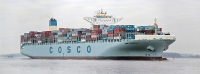 COSCO Development