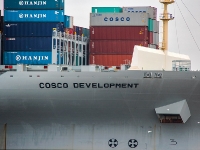 cosco-development_mfw12__010419