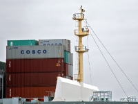 COSCO Development