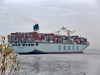 COSCO Development