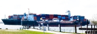 nyk_oceanus_AA108362_stitch