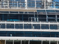 Celebrity Reflection