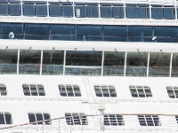 Celebrity Reflection