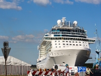 Celebrity Reflection