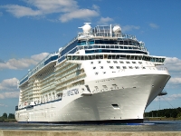 Celebrity Reflection