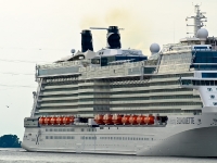 Celebrity Silhouette