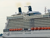 Celebrity Silhouette