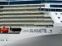 Celebrity Silhouette