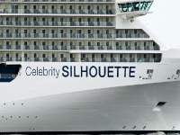 Celebrity Silhouette