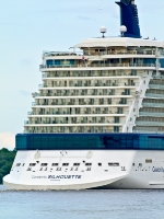 Celebrity Silhouette