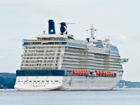 Celebrity Silhouette