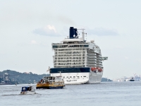 Celebrity Silhouette