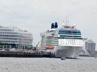 Celebrity Silhouette Taufe