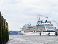 Celebrity Silhouette Taufe