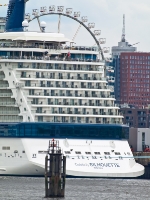 Celebrity Silhouette Taufe