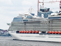 Celebrity Silhouette Taufe