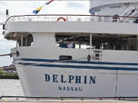 Delphin