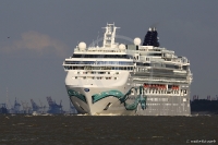 Norwegian Jade