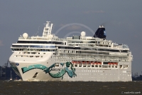 Norwegian Jade