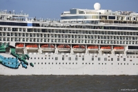 Norwegian Jade