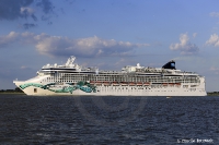 Norwegian Jade