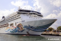 Norwegian Cruise Lines