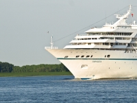 Amadea